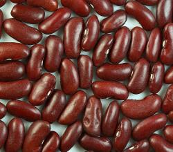 high calorie kidney beans